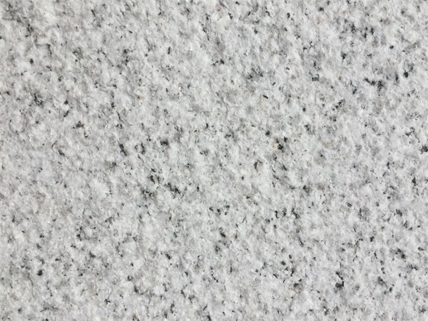 1769758050347373.jpg 000.jpg